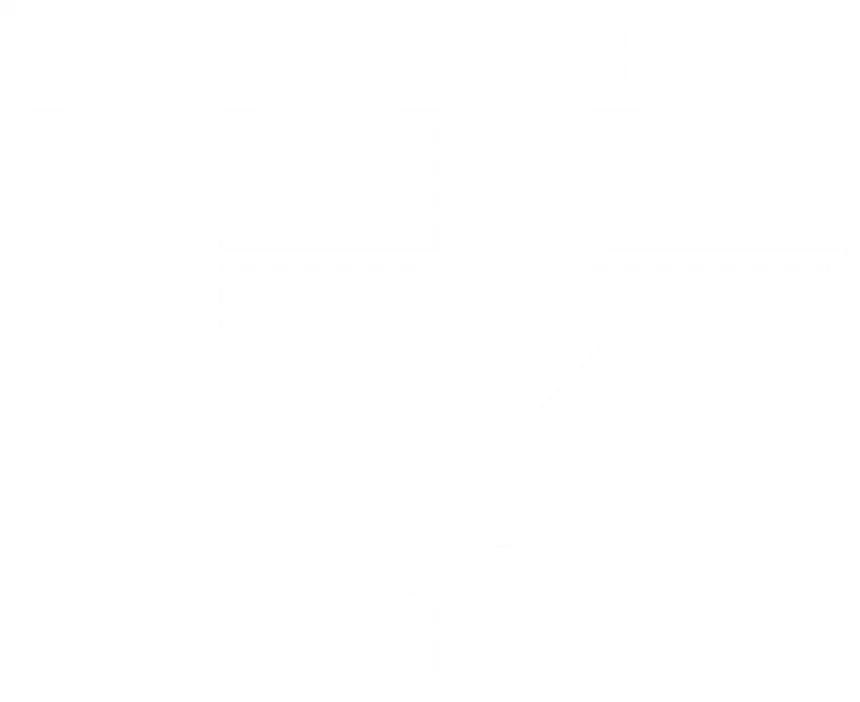 Kentucky Wildcats